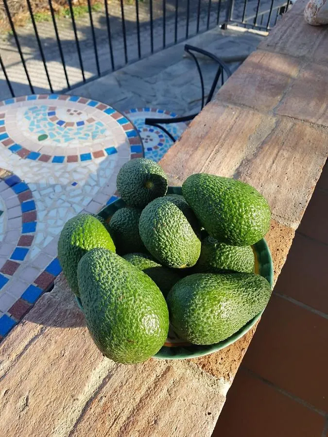 Willa Casa Ana Frigiliana Torrox Hiszpania